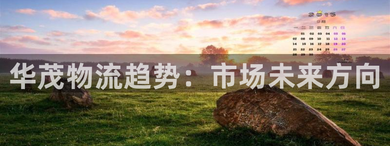多多28免费