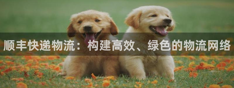 多多28大舞台