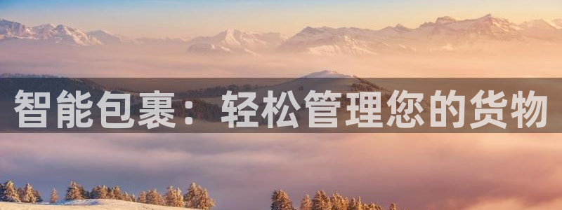 多多28新用户怎么注册：智能包裹：轻
