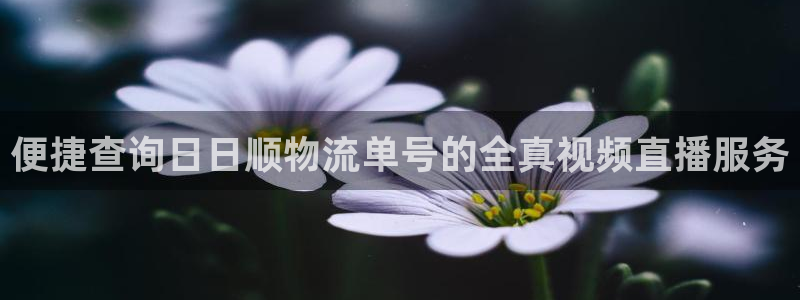 多多28链接来一个