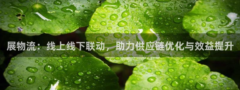 多多28注册网页：展物流：线上线下联