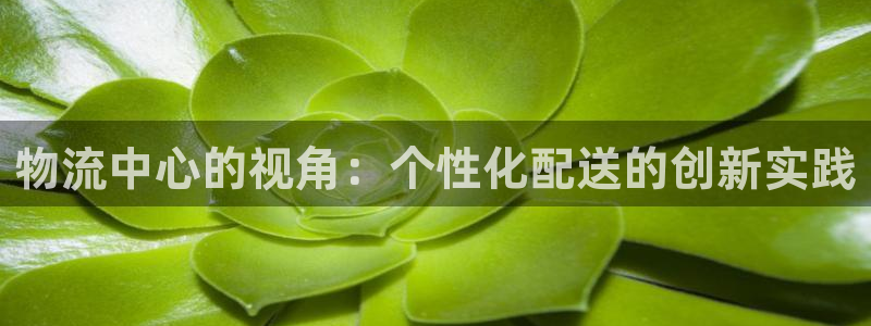 多多28cn：物流中心的视角：个性化