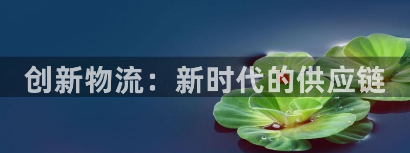 多多28预测网：创新物流：新时代的供