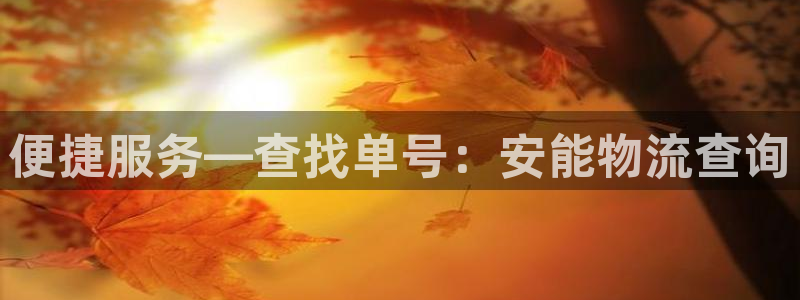 多多28软件有什么用：便捷服务—查找