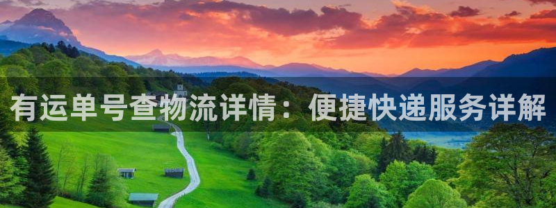 多多28加拿大怎么玩：有运单号查物流