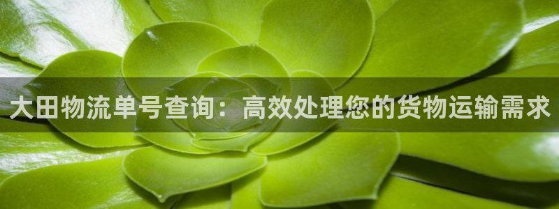 多多28忘记账号：大田物流单号查询：