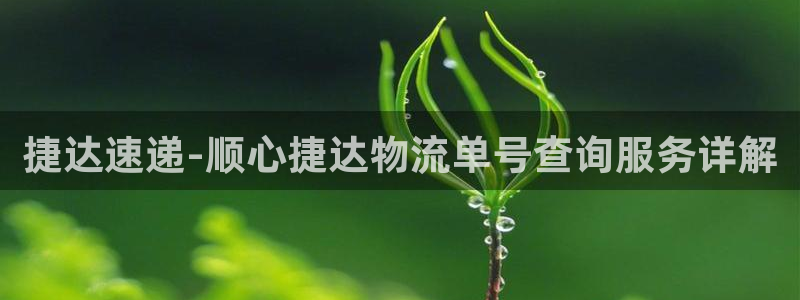 多多28官网入口pc正版：捷达速递-