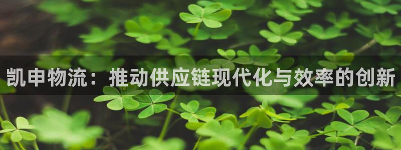 多多28是啥：凯申物流：推动供应链现