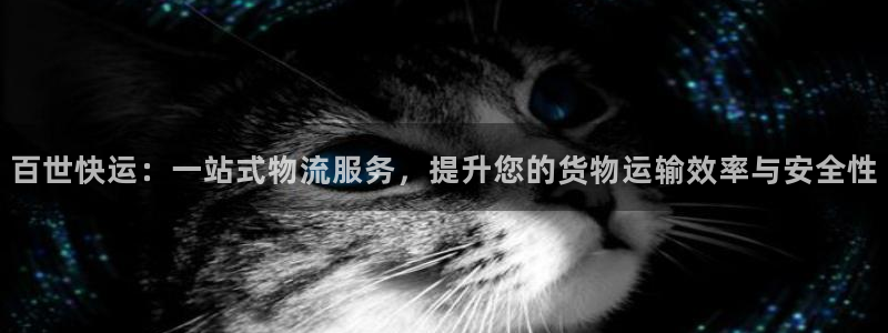 多多28加拿大pc预测：百世快运：一