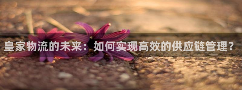 多多28充值为什么充不了：皇家物流的未来：如何实现高效的供应