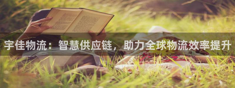 多多28麻将胡了爆分视频：宇佳物流：