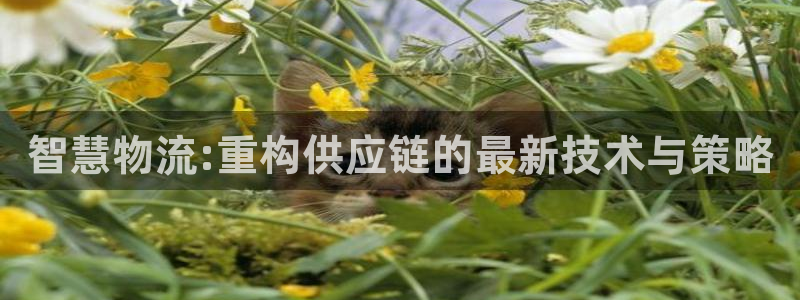 多多28官网开奖结果预测：智慧物流: