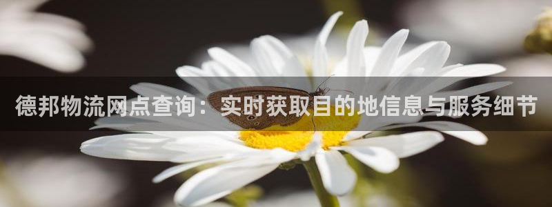 多多28注册登录链接流程：德邦物流网