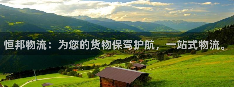 多多28充值不处理会怎么样：恒邦物流