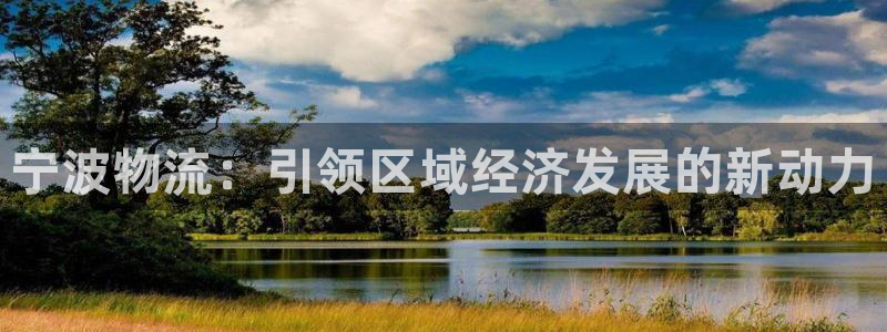多多28官网入口app：宁波物流：引