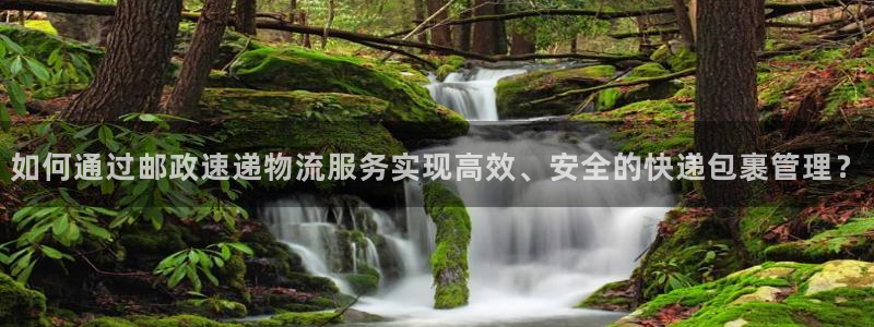 多多28官网入口南宫：如何通过邮政速