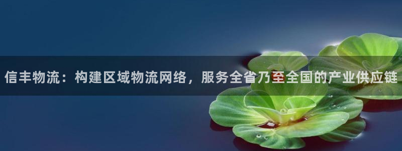 多多28官网下载链接是什么：信丰物流