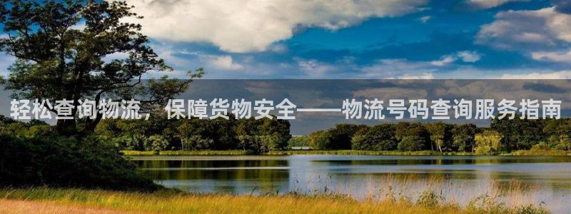 多多28加拿大app预测：轻松查询物