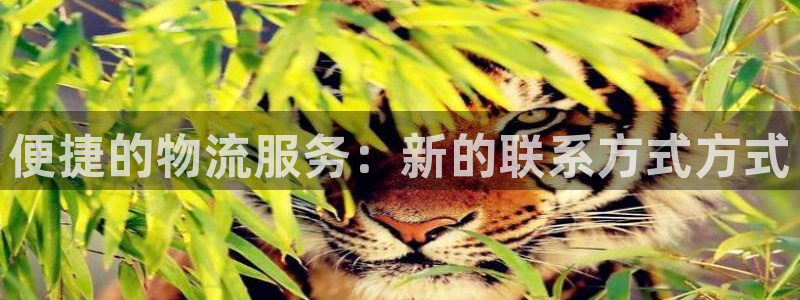 多多28二维码：便捷的物流服务：新的