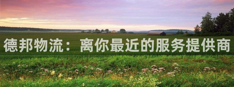 多多28p扣款什么意思：德邦物流：离
