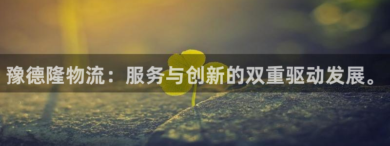 多多28怎么下载不了：豫德隆物流：服