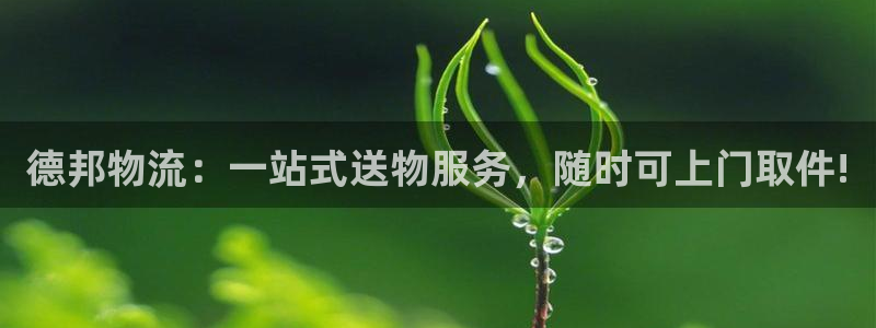 多多28能赢钱吗：德邦物流：一站式送