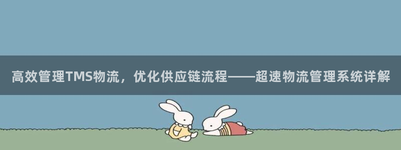 多多28怎么下载不了：高效管理TMS物流，优化供应链流程——