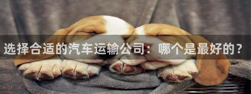 多多28违法吗：选择合适的汽车运输公
