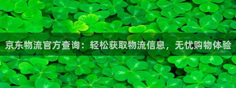 多多28技巧：京东物流官方查询：轻松