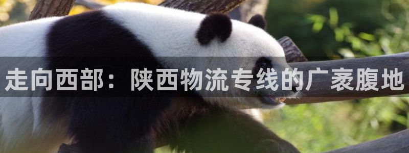 多多28注册网址百度知道：走向西部：