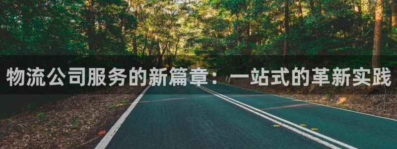 多多28app注册地址：物流公司服务