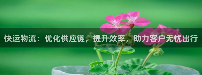多多28的平台：快运物流：优化供应链