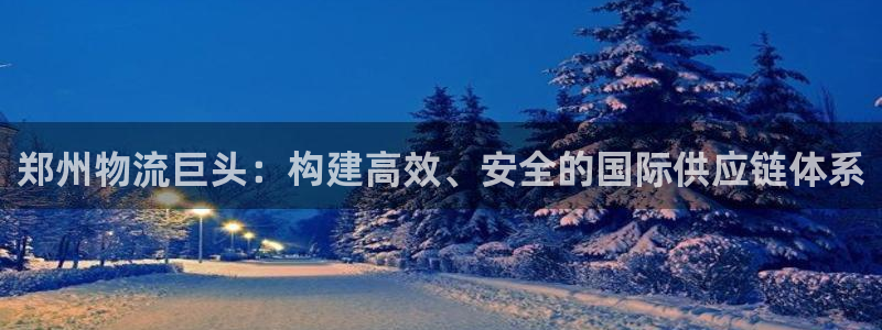 多多28官网预测：郑州物流巨头：构建